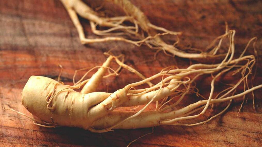 racine de ginseng pour augmenter la puissance